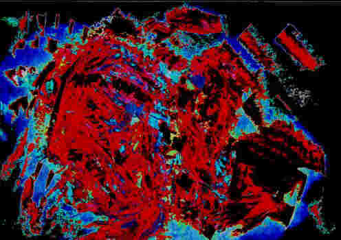 Red-Dragon-medium